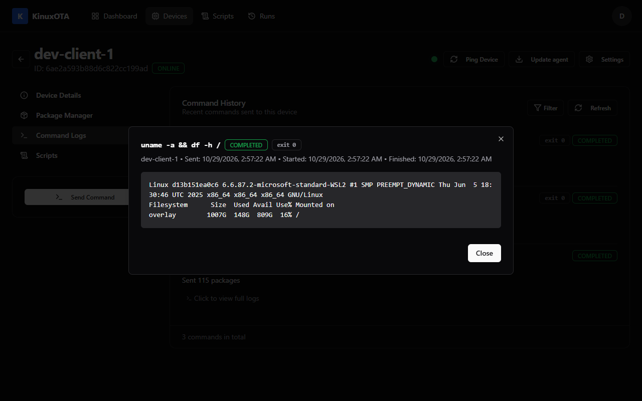 A command's output